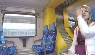 Снял дамочку в поезде и выебал в туалете